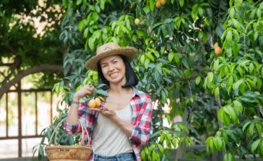 alimentation durable