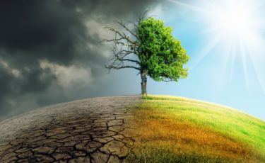 les causes et les conséquences du changement climatique